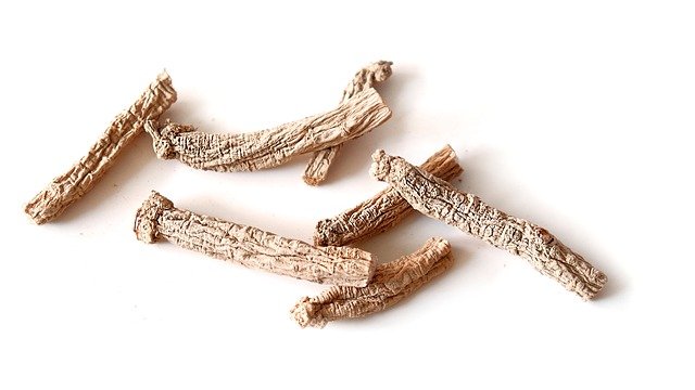 ginseng root